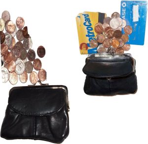 Lot of 3 Leather Change Purse bag Ladies Wallet purse mini pocket coin case bnwt - Image 9