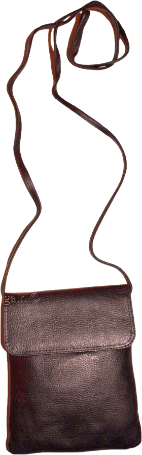 Women's Leather Brown handbag purse leather day bag party bag Swing new bag